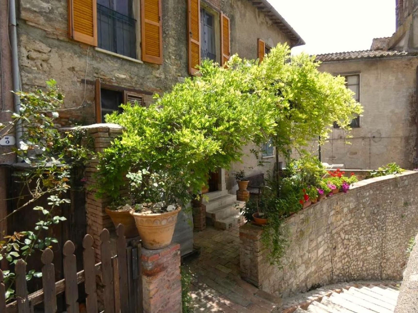 Scappo In Umbria, La Loggia Apartment Amelia Ngoại thất bức ảnh